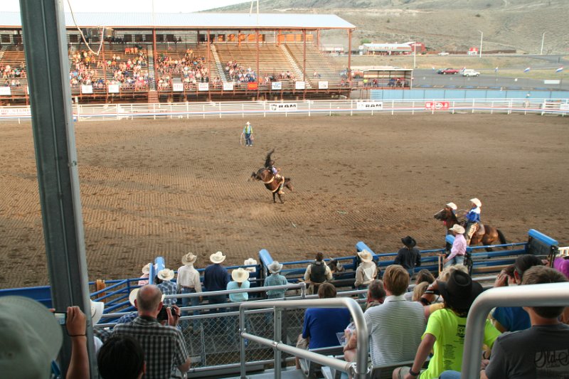 Trip (187).JPG - Bucking broncos at the Cody, Wyoming rodeo